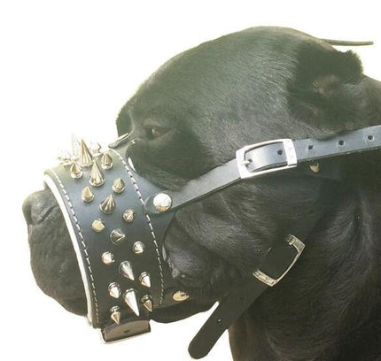 The "Danger" muzzle-2