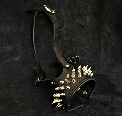 The "Danger" muzzle-0