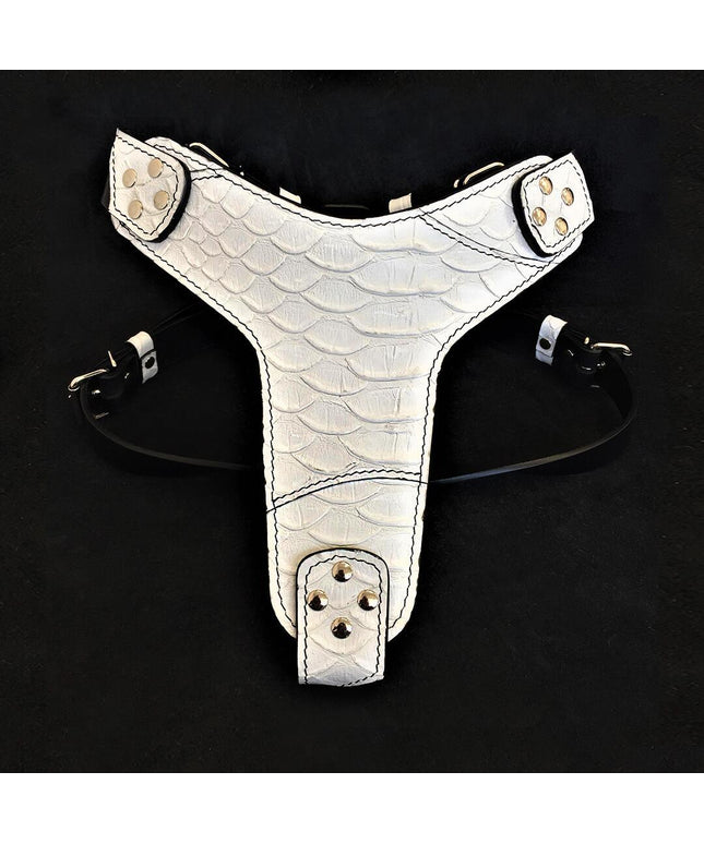 The ''Dragon Scale'' harness-0