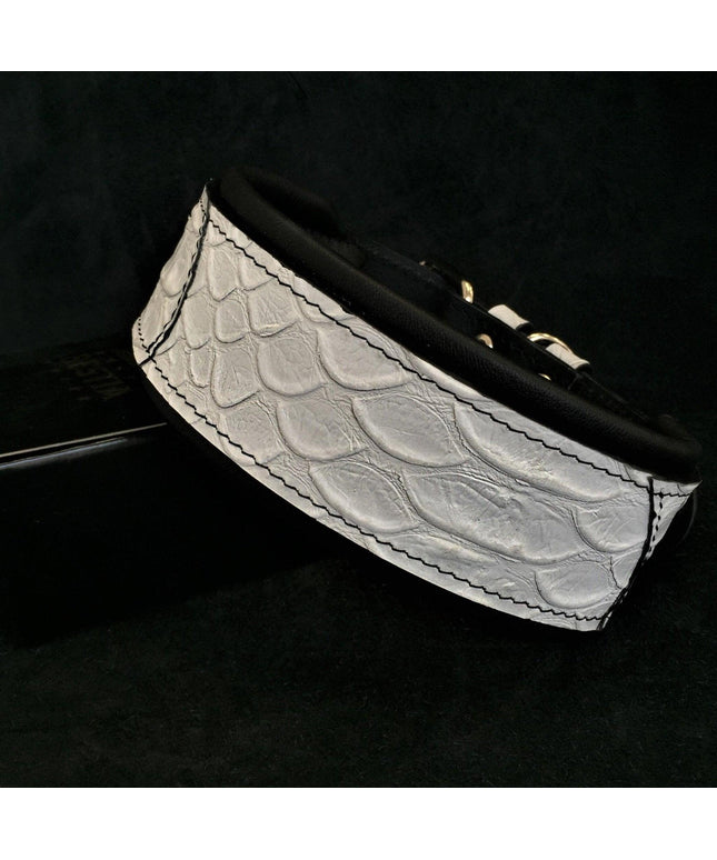 The ''Dragon Scale'' LIMITED collar exclusive design-0