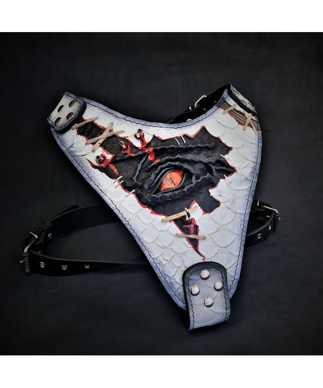 The “Dragon's Eye” Harness LIMITED!-0