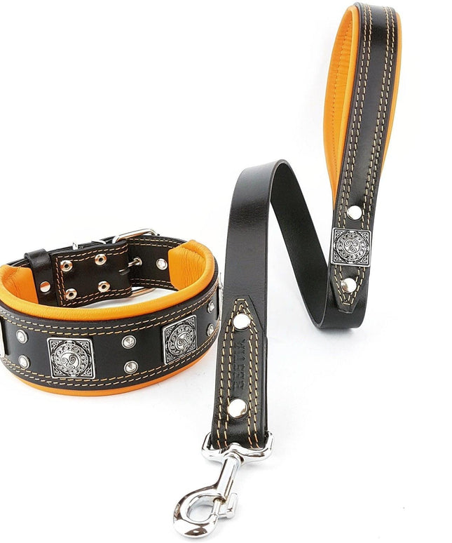 The "Eros" collar 2.5 inch wide black & orange-2