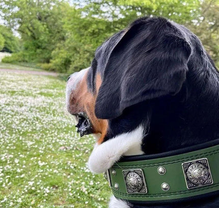 The "Eros" collar 2.5 inch wide Green-2