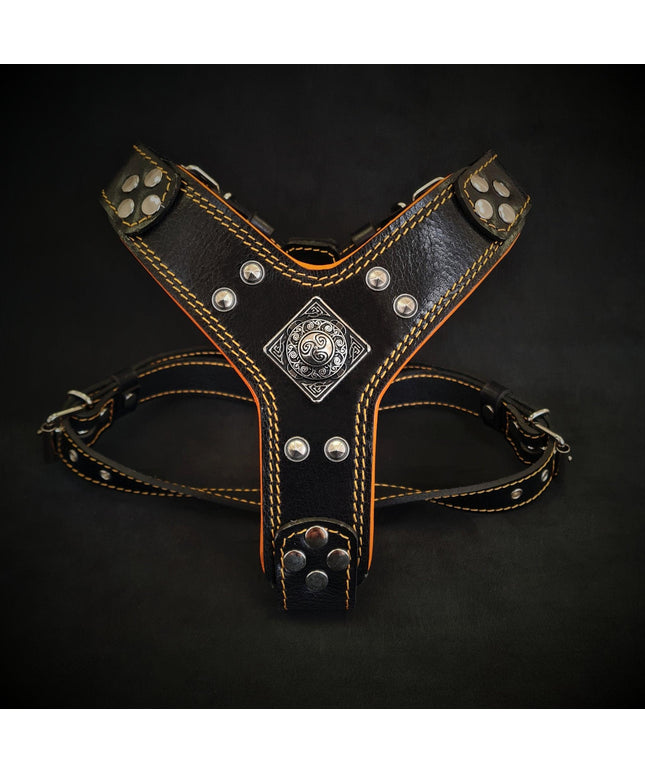 The ''Eros'' harness Black & Orange Small to Medium Size-0