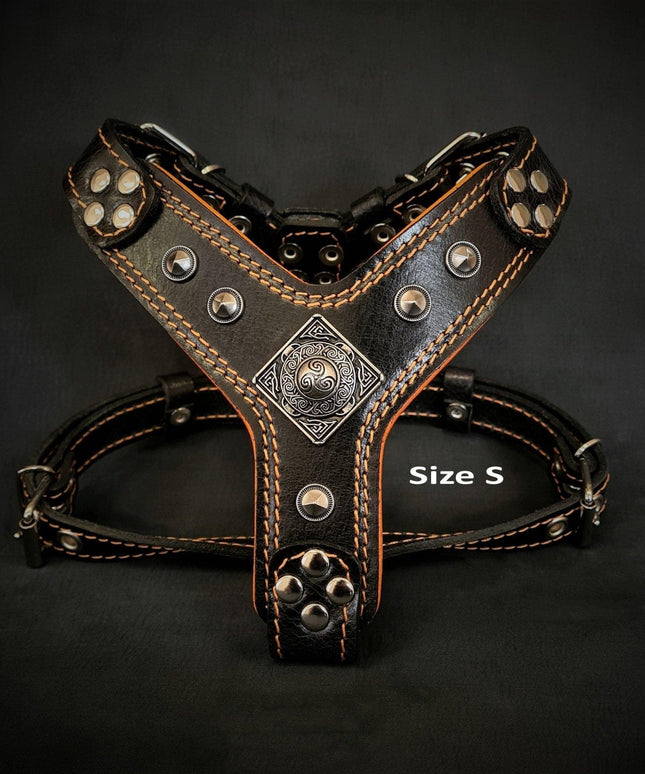 The ''Eros'' harness Black & Orange Small to Medium Size-1