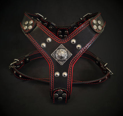 The ''Eros'' harness Black & Red Small to Medium Size-0