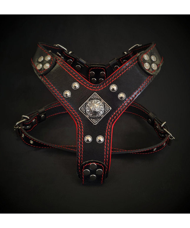 The ''Eros'' harness Black & Red Small to Medium Size-0