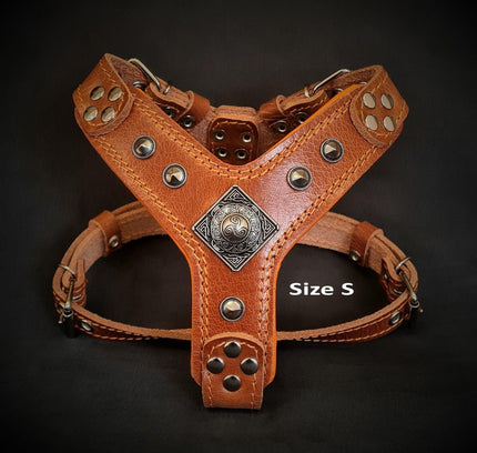 The ''Eros'' harness brown Small to Medium Size-1