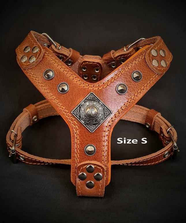 The ''Eros'' harness brown Small to Medium Size-1