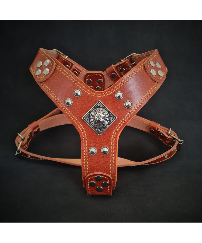 The ''Eros'' harness brown Small to Medium Size-0