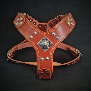 The ''Eros'' harness brown Small to Medium Size