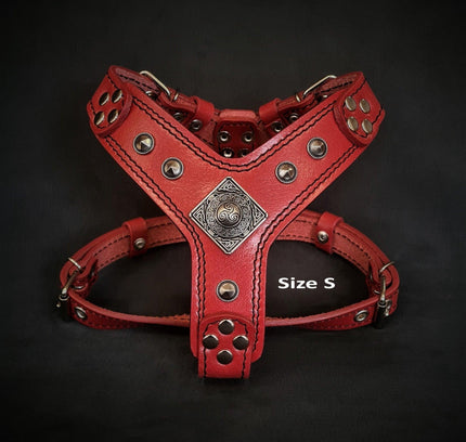 The ''Eros'' harness red Small to Medium Size-1