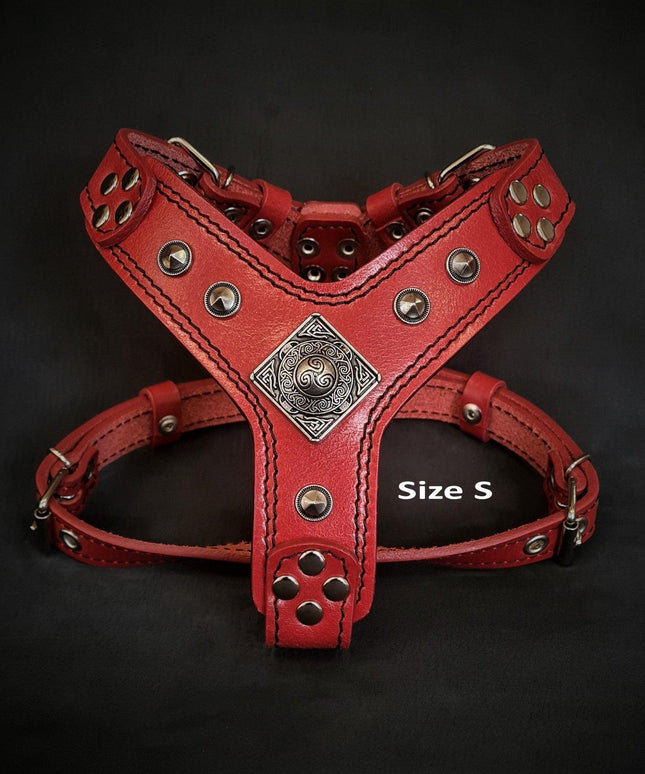 The ''Eros'' harness red Small to Medium Size-1