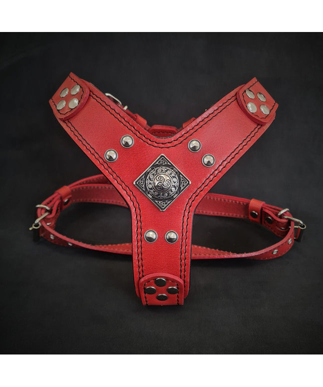 The ''Eros'' harness red Small to Medium Size-0