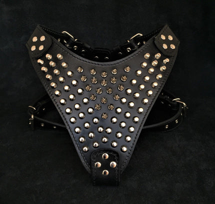 The "Gladiator" harness-0