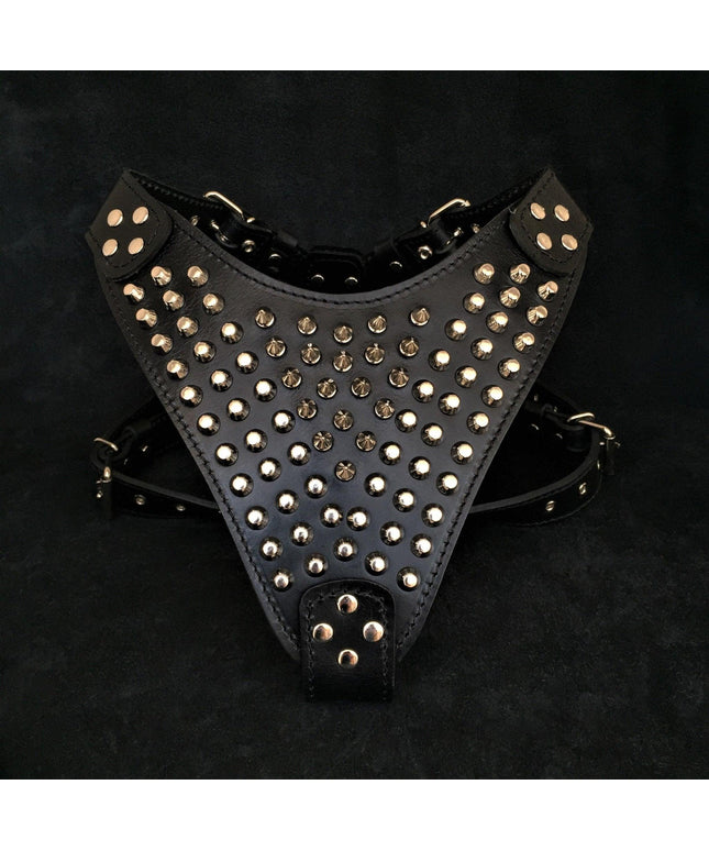 The "Gladiator" harness-0