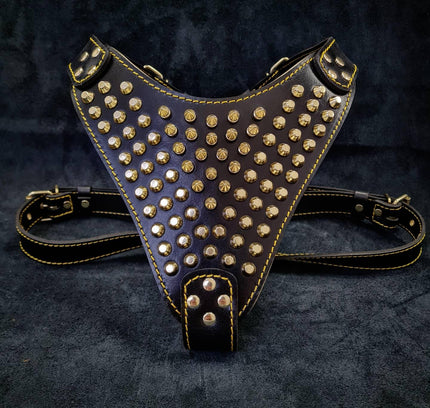 The "Gladiator" harness Gold/Silver-0