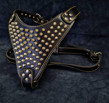 The "Gladiator" harness Gold/Silver-1