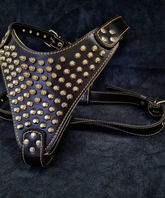 The "Gladiator" harness Gold/Silver-1