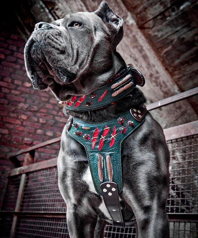 The "Haunted'' collar LIMITED-3