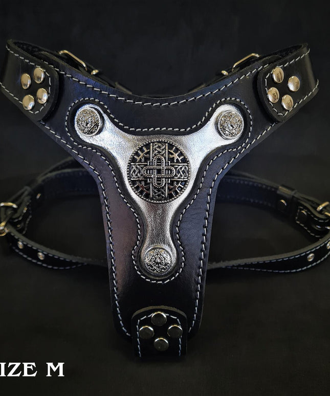 The "Hektor" harness