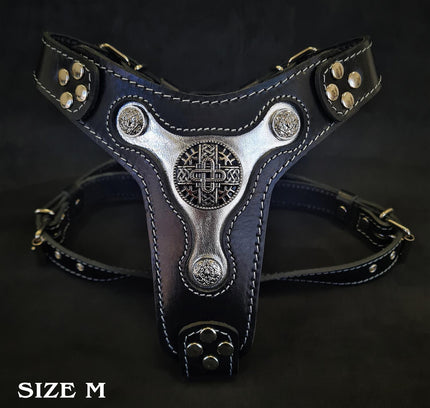 The "Hektor" harness-1