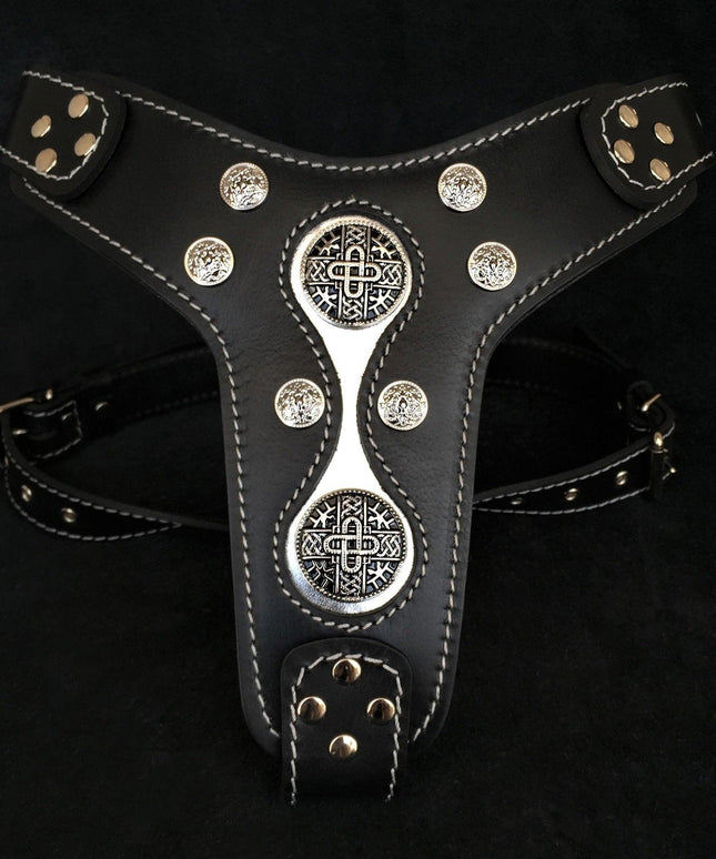 The "Hektor" harness