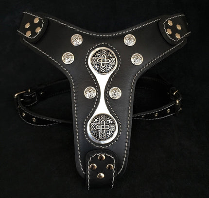 The "Hektor" harness-0