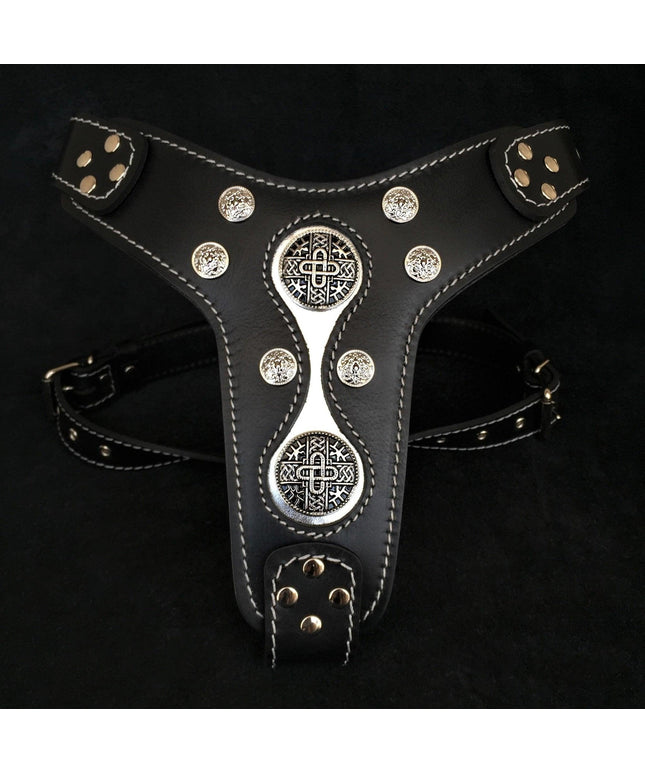 The "Hektor" harness-0