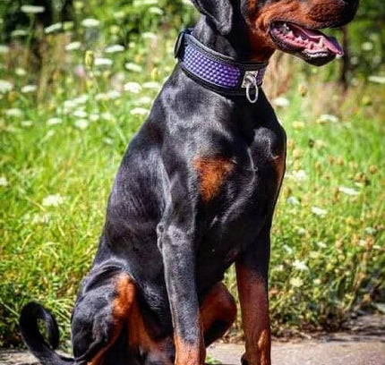 The ''Hexagon'' LIMITED collar exclusive design Limited-3