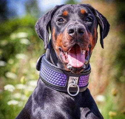 The ''Hexagon'' LIMITED collar exclusive design Limited-2