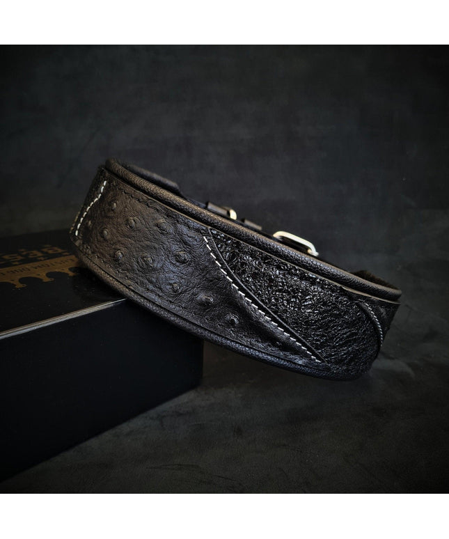 The "Korona" collar BLACK EDITION-0