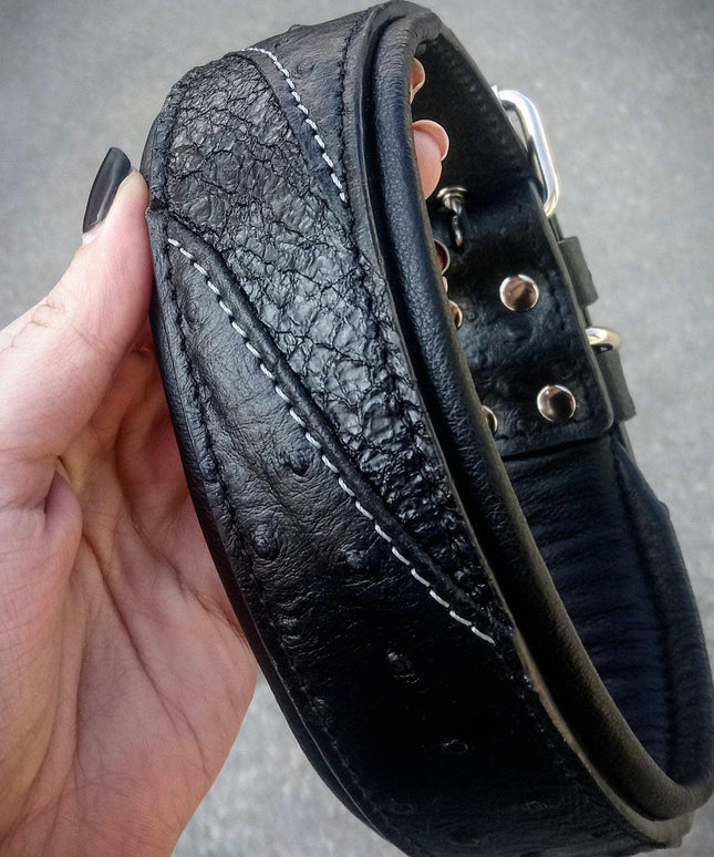 The "Korona" collar BLACK EDITION-1