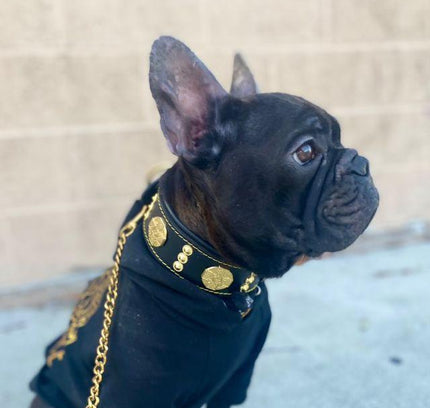 The "Maximus" collar 2 inch wide gold decoration-3