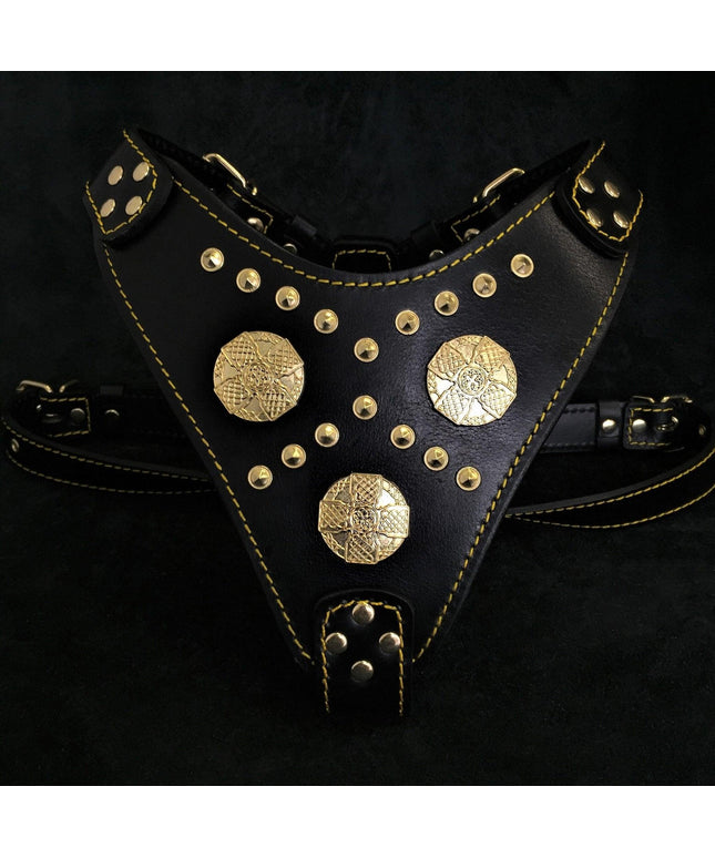 The "Maximus" harness black & gold-0