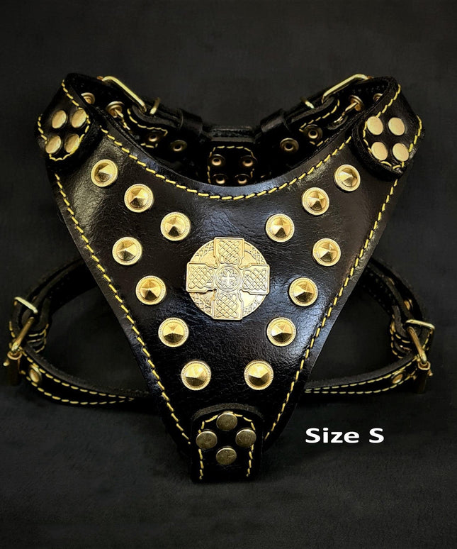 The ''Maximus'' harness Black & Gold  Small to Medium Size-1