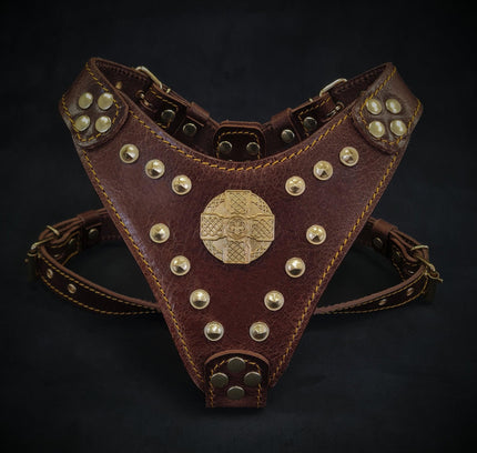 The ''Maximus'' harness Brown & Gold Small to Medium Size-0