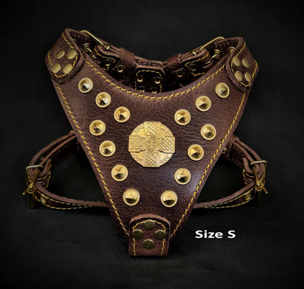 The ''Maximus'' harness Brown & Gold Small to Medium Size