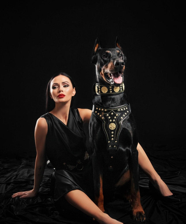 The "Maximus" harness V2-1