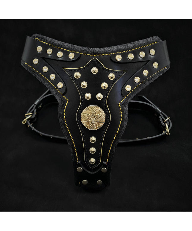 The "Maximus" harness V2-0