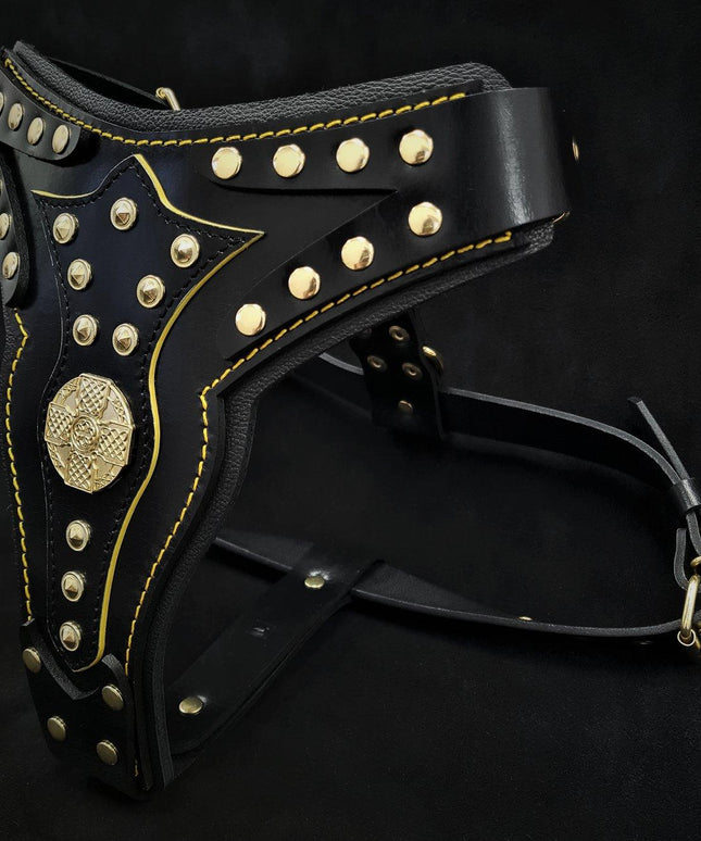 The "Maximus" harness V2-2