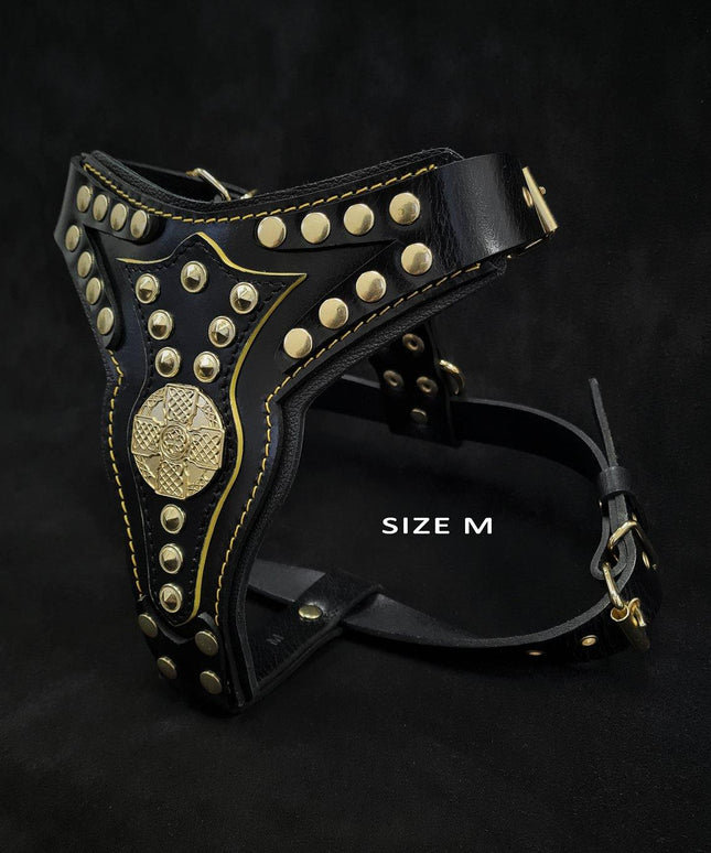 The "Maximus" harness V2-4