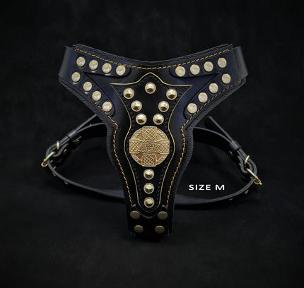 The "Maximus" harness V2-3