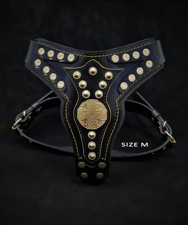 The "Maximus" harness V2-3