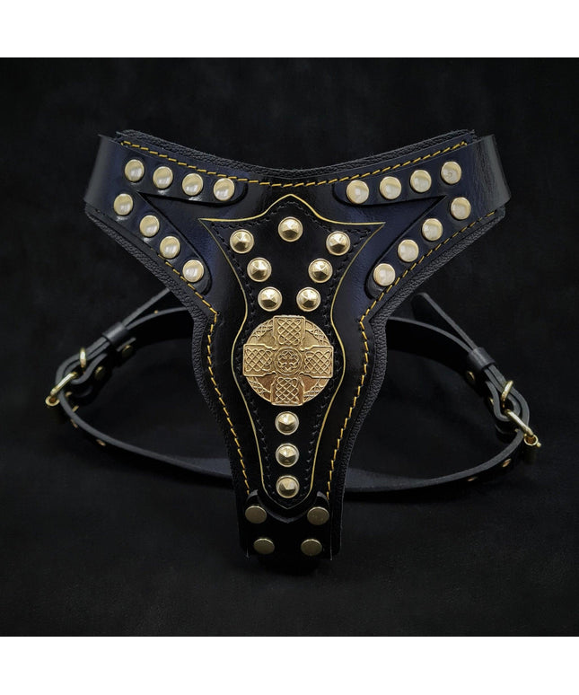 The ''Maximus'' harness V2 Medium Size-0