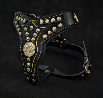 The ''Maximus'' harness V2 Medium Size-1