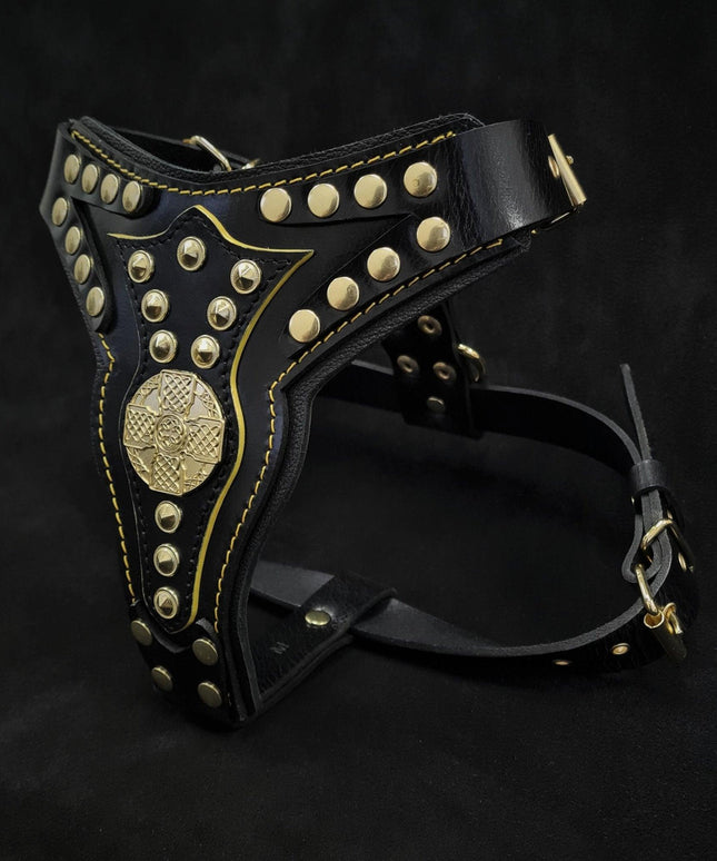 The ''Maximus'' harness V2 Medium Size-1