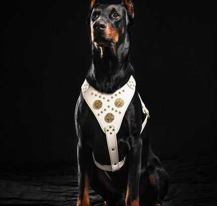 The "Maximus" harness White-2