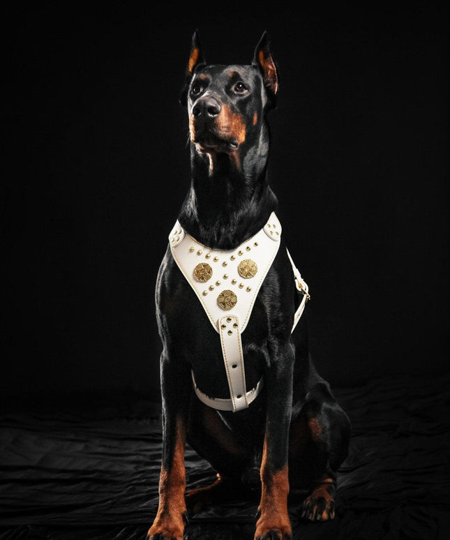 The "Maximus" harness White-2