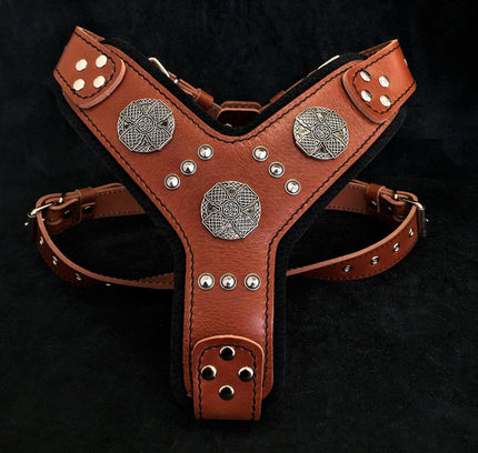 The "Maximus" silver harness-1